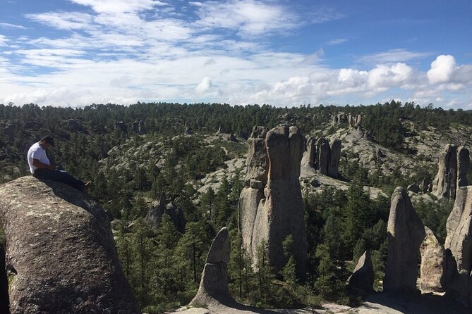 Combined Tour - Participation and Accessibility