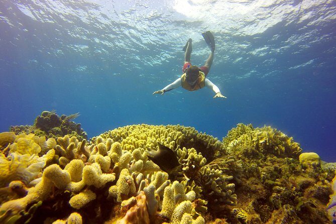 Combo 2 Caribbean Islands: Isla Mujeres, Cozumel with snorkel - Key Points