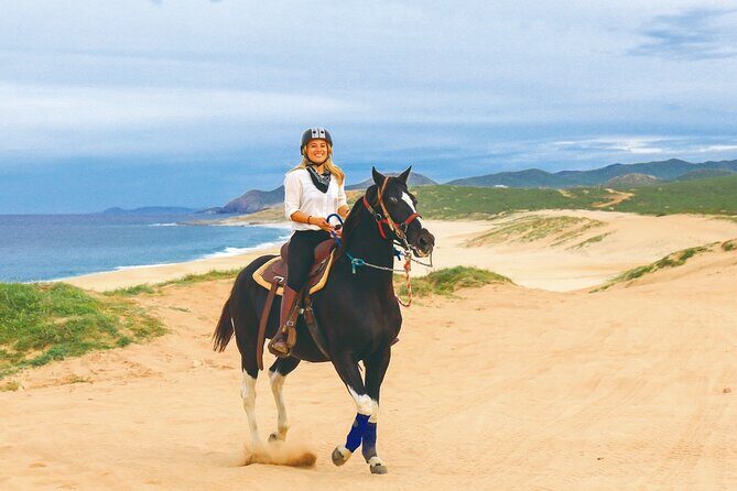 Combo 2x1 in Cabo San Lucas Horseback riding and ATV adventure - Who Should Consider This Tour?