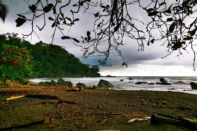 Combo 3: Manuel Antonio Park Tour & Chocolate Tour - Wildlife Experience