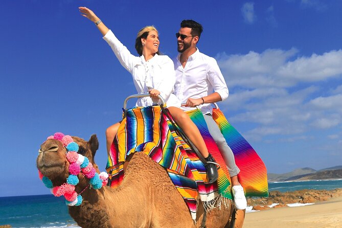 Combo 4X4 Automatic ATV & Camel Ride in Cabo by Cactus Tours Park - Pricing Information
