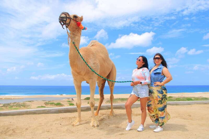 Combo 4X4 Automatic ATV & Camel Ride in Cabo by Cactus Tours - Important Practical Considerations