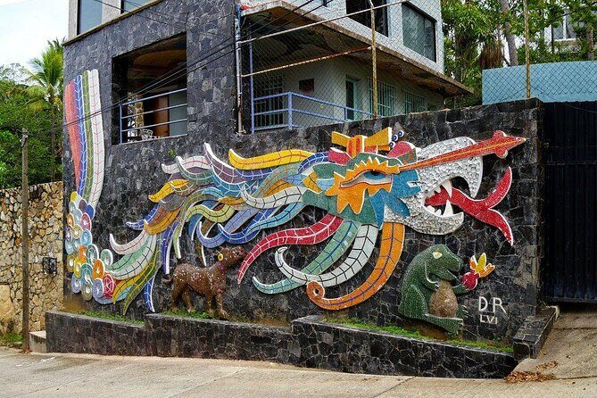 Combo 6 Hr Tour All City Highlights Divers Baby Turtle Release - Introduction