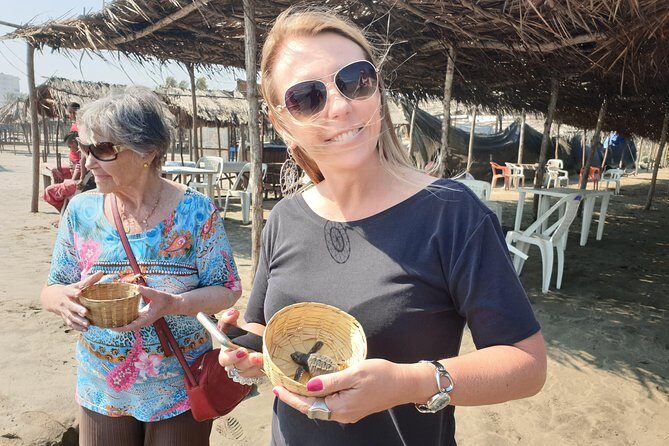 Combo 6 Hr Tour All City Highlights Divers Baby Turtle Release - The Sum Up