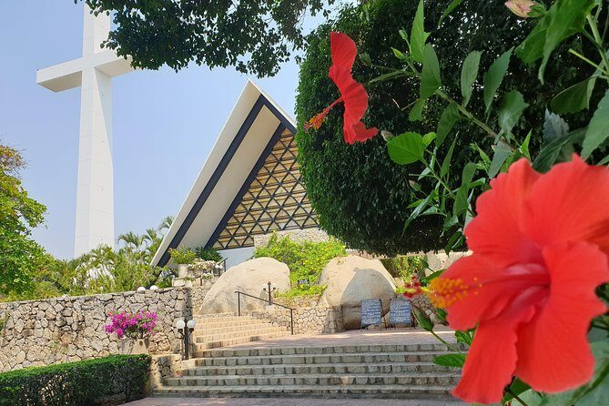 Combo 6 Hr Tour All City Highlights Divers Baby Turtle Release - FAQ