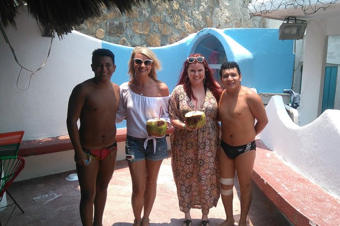 Combo 6 Hr Tour All City Highlights Divers Baby Turtle Release - Accessibility