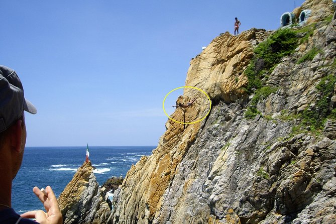 Combo 6 Hr Tour All City Highlights Divers Baby Turtle Release - Highlights