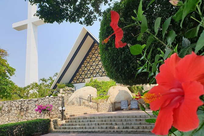 Combo 6 Hr Tour All City Highlights Divers Baby Turtle Release - Booking Information