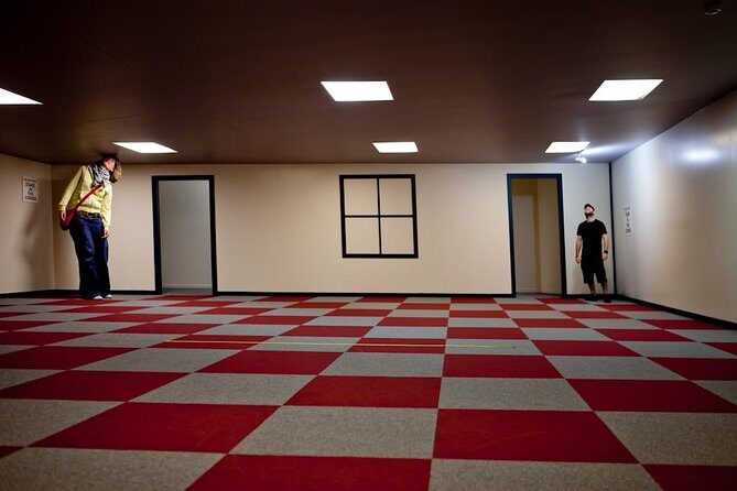 COMBO Admission: Puzzling World, Wanaka - Introduction