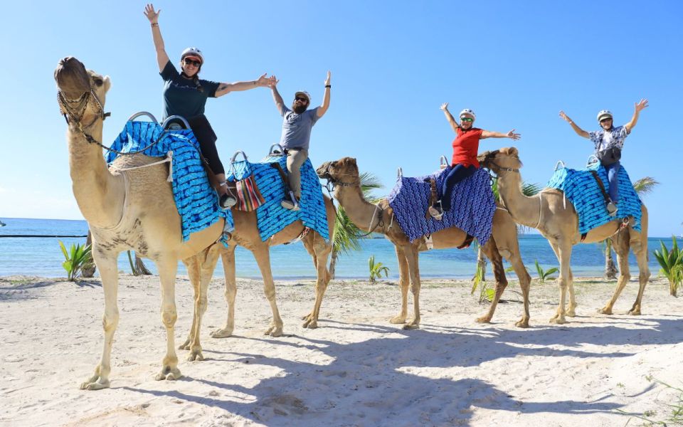 Combo Adventure: Parasailing and Camel Caravan in Maroma - Shared Transportation Service