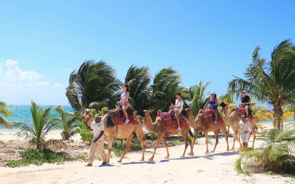Combo Adventure: Parasailing and Camel Caravan in Maroma - Instruction and Guidance Included