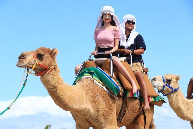 Combo ATV and Camel Ride in the Cape Desert and Buffet - Authenticity and Value