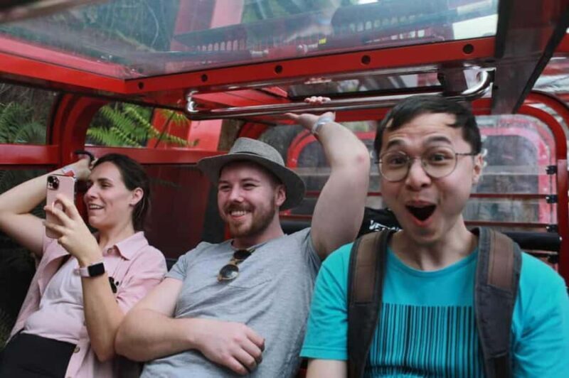 Combo: Blue Mountain Tour + Sydney Hop-on-Hop-off Bus Ticket - The Charm of Leura