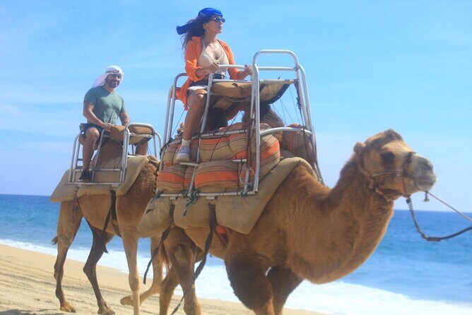 Combo Camelback Safari and ATV Ride Combo Tour Adventure - Authenticity and Experience Quality
