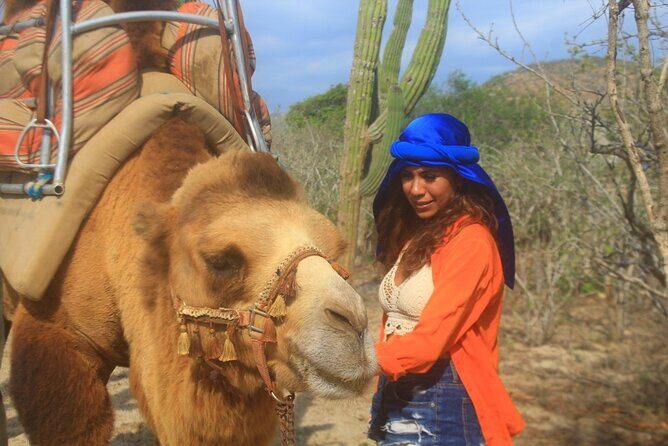 Combo Camelback Safari and ATV Ride Combo Tour Adventure - The Sum Up: Is This Tour Worth It?