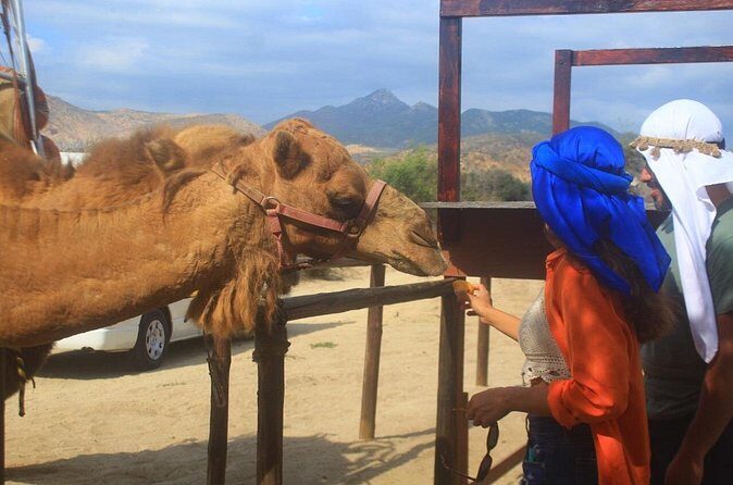 Combo Camelback Safari and ATV Ride Combo Tour Adventure - FAQ