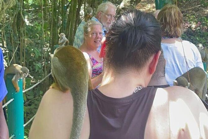 Combo : Damajagua and Monkey Sanctuary with Typical Lunch - Who Should Consider This Tour?