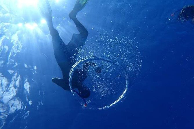 Combo Diving and Snorkeling Half-Day Tour - Final Thoughts