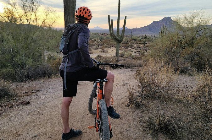 Combo E-Bike Adventure with Camels and Lunch in Cabo - Who Will Love This Tour?