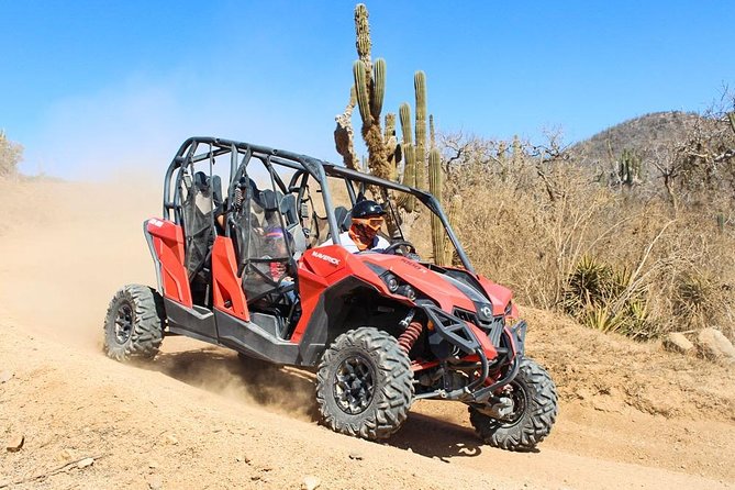 COMBO Horseback Riding & UTV Tour - Activities and Experience