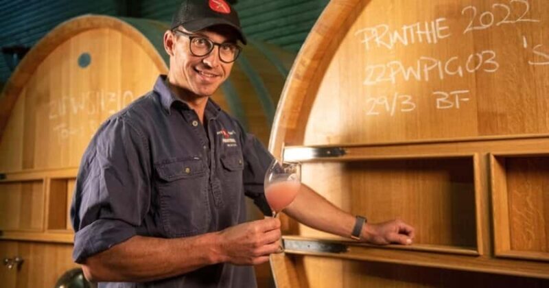 Combo: Hunter Valley Tour + Sydney Hop-on-Hop-off Bus Ticket - An In-Depth Look at This Hunter Valley and Sydney Combo