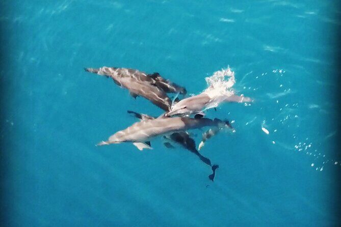 Combo Jet Ski Excursion + 4X4 Safari - The Itinerary in Detail