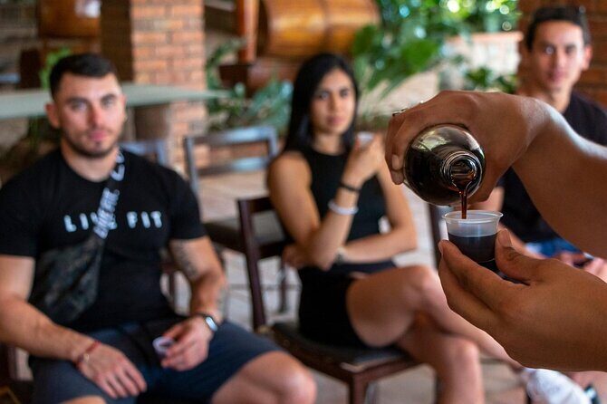 Combo Jorullo Bridge ATV, Zip Line, Mules - Who Will Enjoy This Tour?