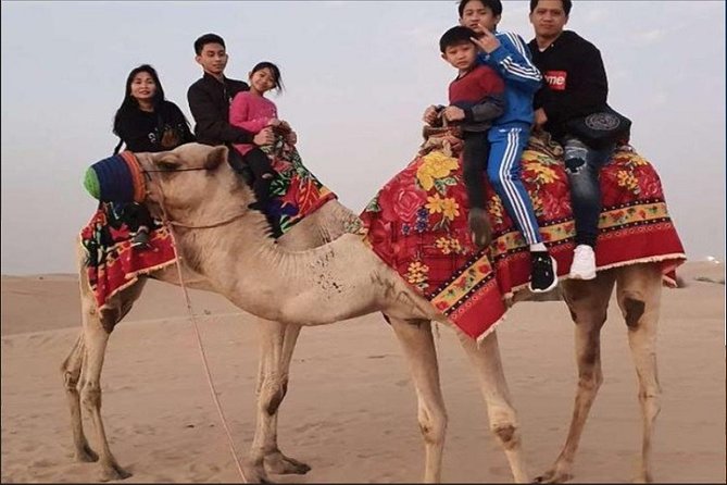 Combo: Morning Dubai City Tour and Evening Premium Desert Safari With Dinner - Pricing Information