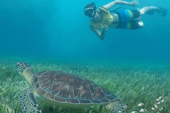 Combo Parasailing and Amazing snorkeling in Cancun - Practical Details: What You Should Know