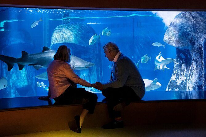 Combo Ticket: Madame Tussauds & SEA LIFE London Aquarium - Analyzing the Value and Practicalities