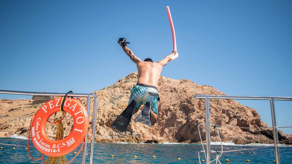 Combo Tour: Camel Ride + Snorkeling Adventure - Frequently Asked Questions