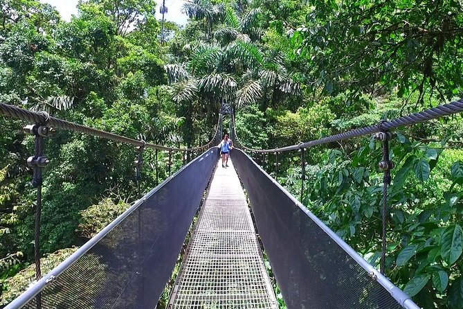 Combo Tour: Hanging Bridges + Thermal Spa in Arenal - Highly Rated by Travelers