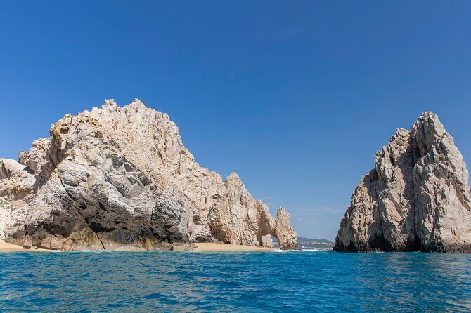 Combo Tour: Whale Watching, Shopping and Beach Time - The Value of This Combo