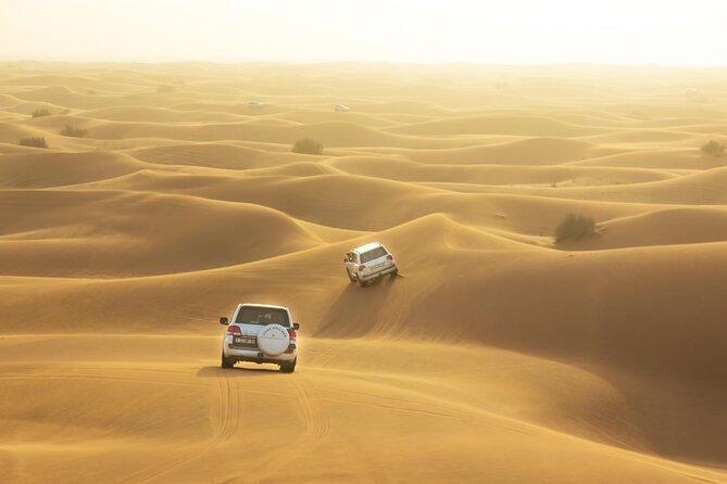 Combo Tours: Half-Day Dubai City Tour With Evening Red Dunes Desert Safari - Meeting and Pickup Information