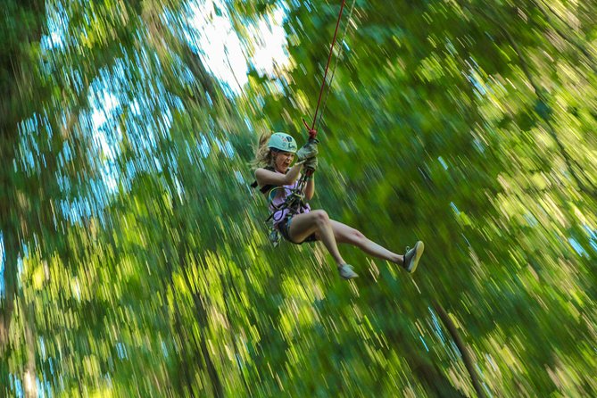 Combo UTV, Rappelling & Rainforest Zipline Adventure - Taking in Natures Playground
