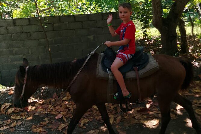 Combo : Waterfalls and Horseback Riding with Authentic Dominican Lunch - Who Will Love This Tour?