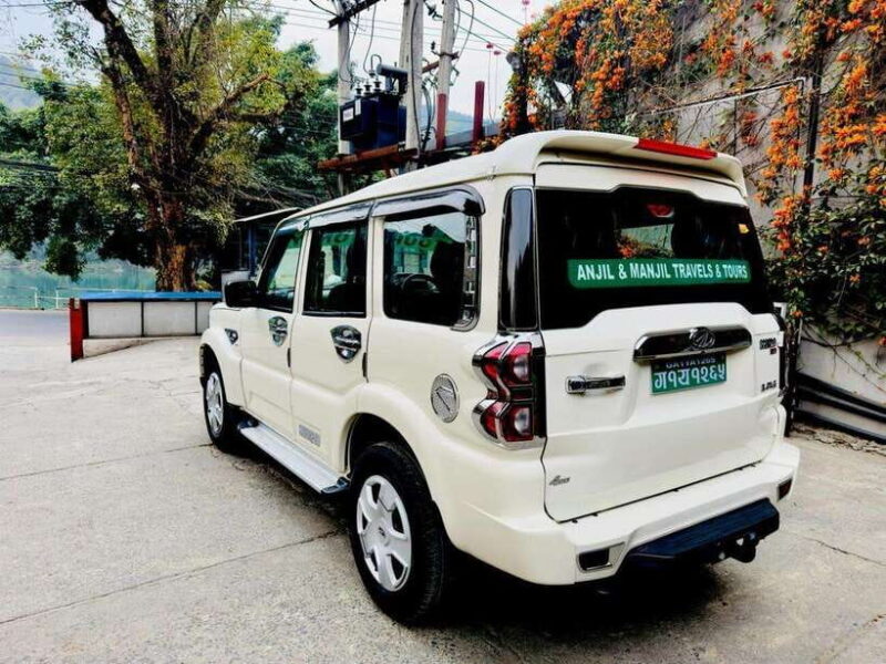 Comfortable Private Transfer from Pokhara to Chitwan - Why Choose This Transfer?