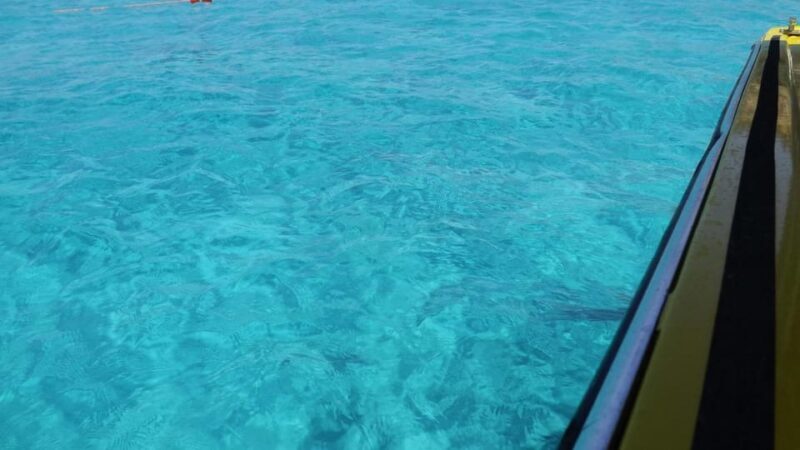 Comino:Blue Lagoon,Crystal Lagoon,Caves, Private Boat Malta - Who Should Book This Tour?
