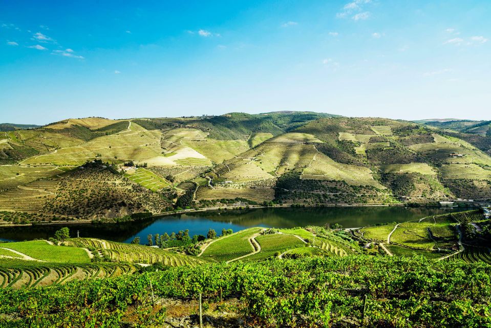 Complete Douro Valley Tour - Visit to 3 Wineries & Lunch - Pickup and Drop-off