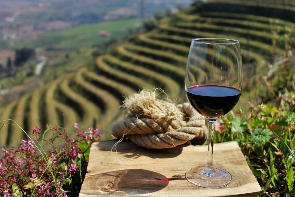 Complete Douro Valley Tour - Visit to 3 Wineries & Lunch - Transportation