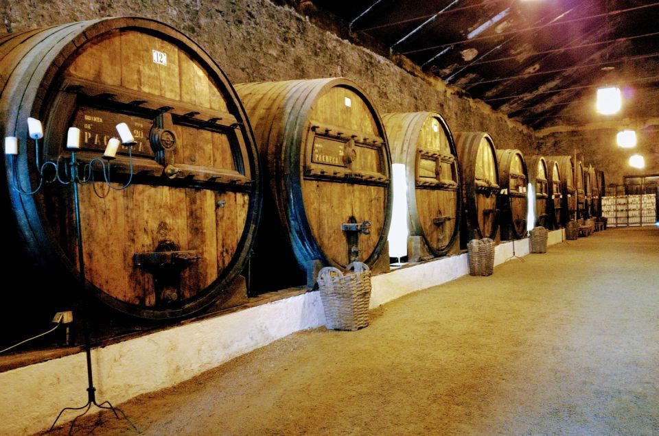 Complete Douro Valley Tour - Visit to 3 Wineries & Lunch - Winery Tour Highlights