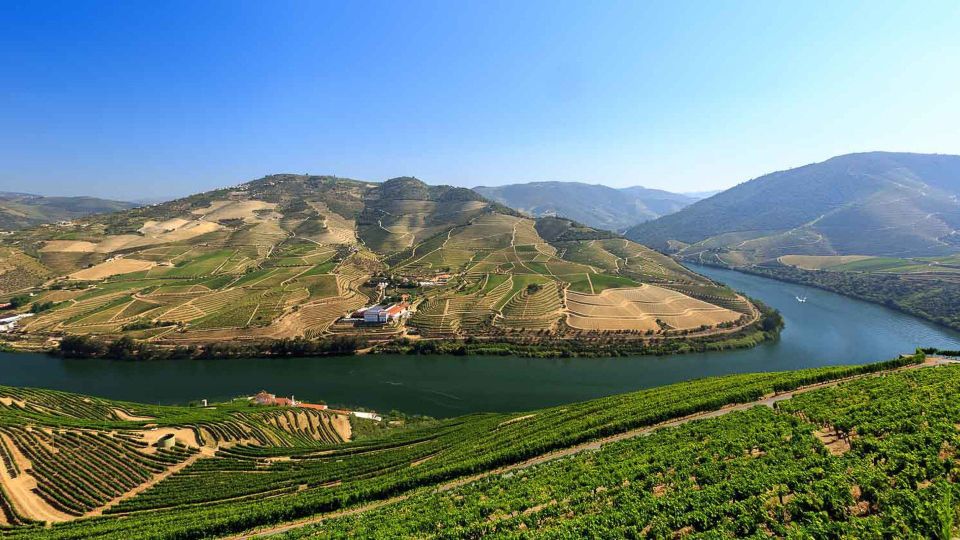 Complete Douro Valley Tour - Visit to 3 Wineries & Lunch - Wine Tastings