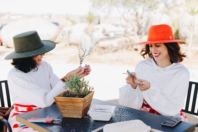 Complete Experience: Tasting, Tour and Gardens | Rondo del Valle - Authentic Experiences and Guest Feedback