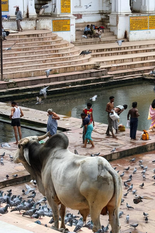 Complete Rajasthan Tour in 8 Days From Jaipur With Guide. - Day 2: Jaipur Sightseeing