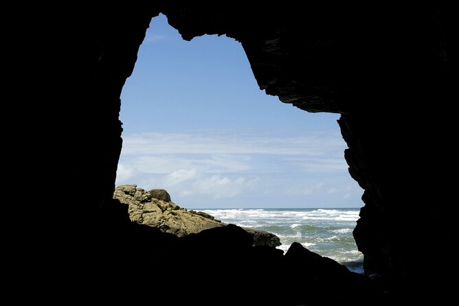 Complete Tour to Honey Island - Ilha Do Mel Highlights