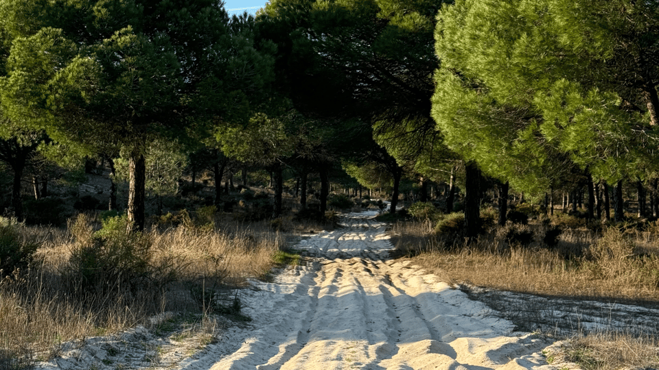 COMPORTA: LAND ROVER PREMIUM TOUR | PICNIC & DRONE INCLUDED - Authenticity, Luxury, and Unique Perspectives