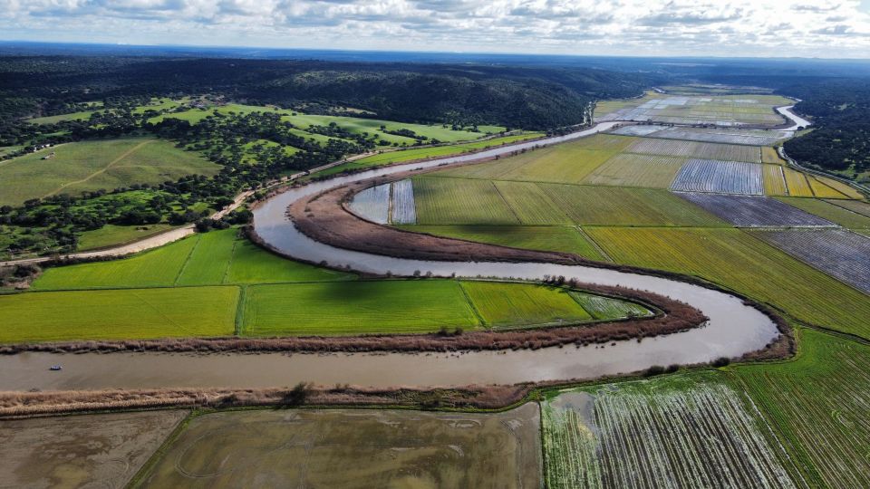Comporta to Mourisca Tide Mill Boat Tour - Private Group Experience