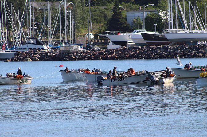 Conception Bay Tour Experience - FAQs