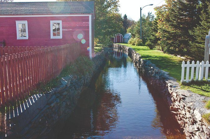 Conception Bay Tour Experience - Final Thoughts