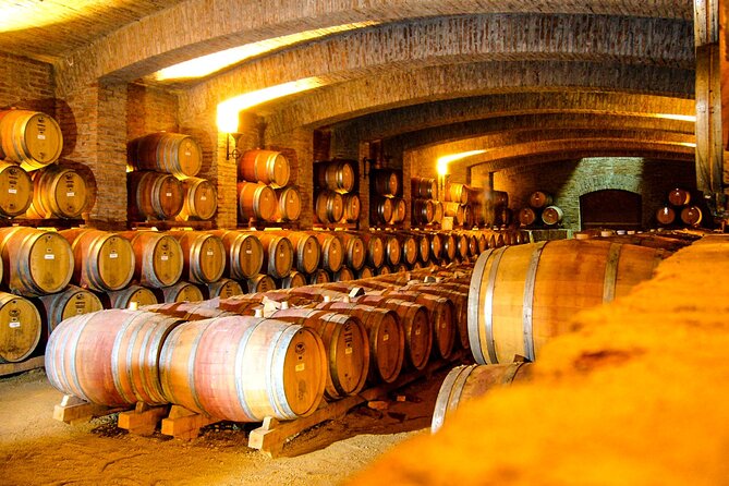 Concha Y Toro Vineyard - Guest Testimonials and Ratings